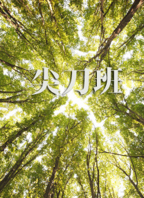 三区在线